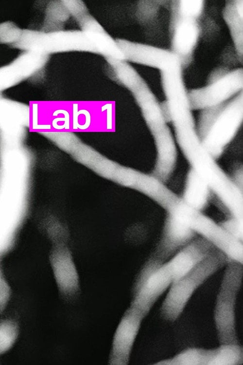 Дивитися фільм Lab 1 2026 онлайн