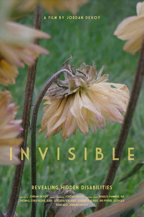 Дивитися фільм Invisible - Revealing Hidden Disabilities 2026 онлайн