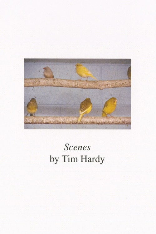 Watch Scenes 2026 online