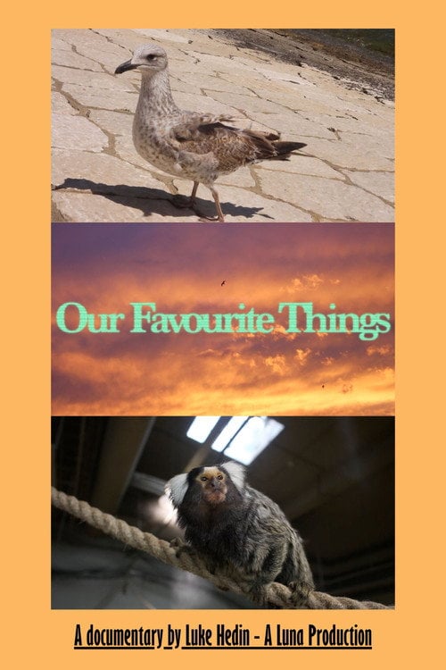 Дивитися фільм Our Favourite Things 2026 онлайн