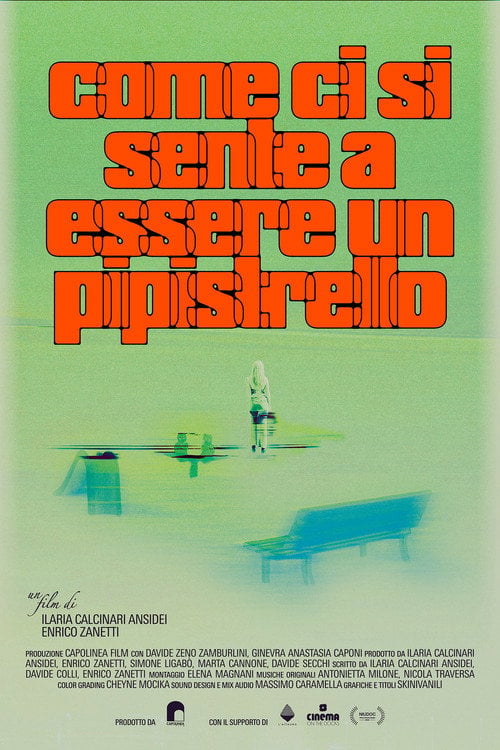 Watch Come ci si sente a essere un pipistrello 2026 online