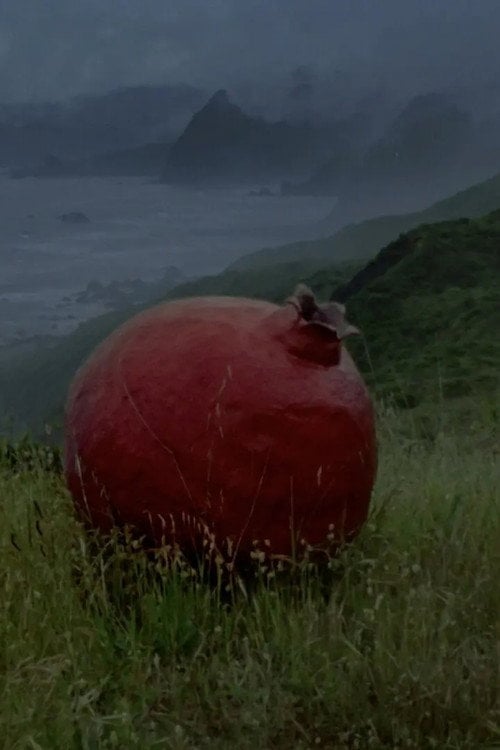 Watch what does it feel like to live inside of a pomegranate? 2026 online