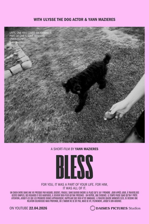 Watch Bless 2026 online