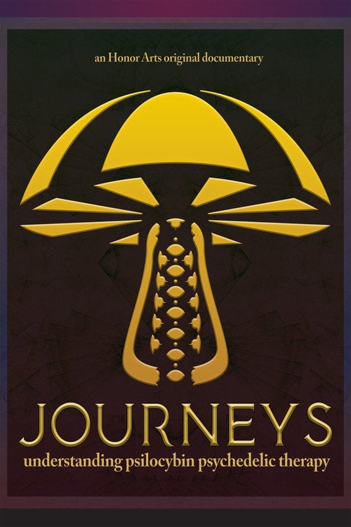 Watch Journeys 2026 online