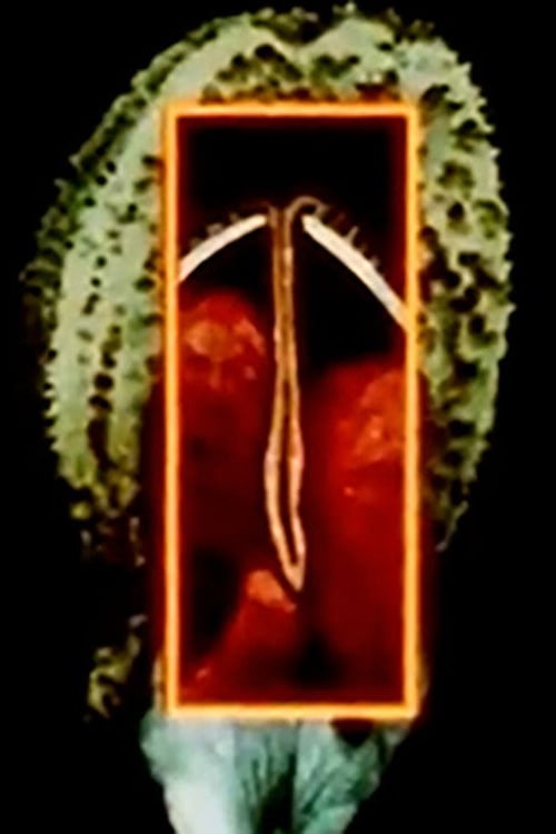 Watch Maternal Language Part 1: The Construction of Maternal Form & its Adaptation to Absent Sexual Vitality 2026 online
