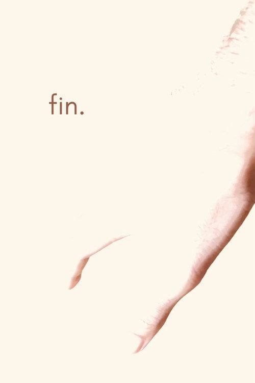 Watch Fin. 2026 online