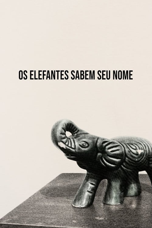 Дивитися фільм Os Elefantes Sabem Seu Nome 2026 онлайн