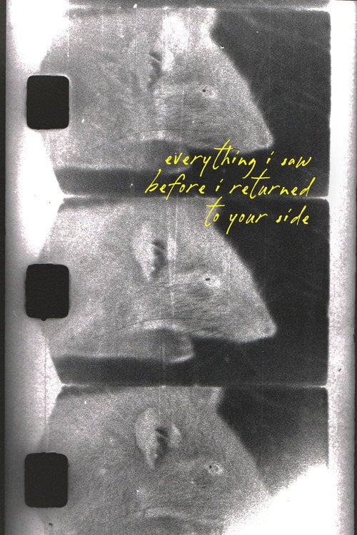 Дивитися фільм everything i saw before i returned to your side 2026 онлайн