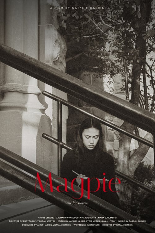 Watch Magpie 2026 online