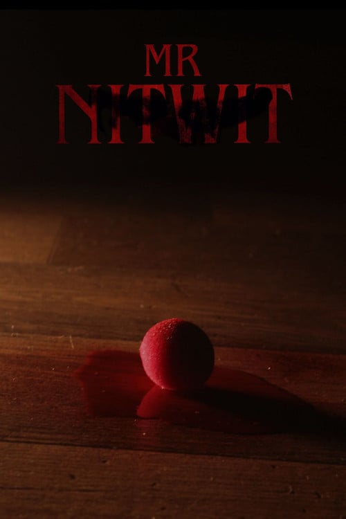 Watch Mr Nitwit 2026 online