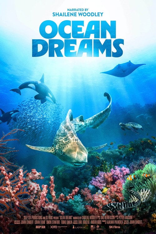 Watch Ocean Dreams 2026 online