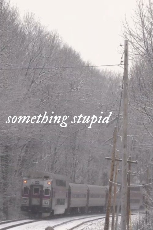 Дивитися фільм Something Stupid 2026 онлайн