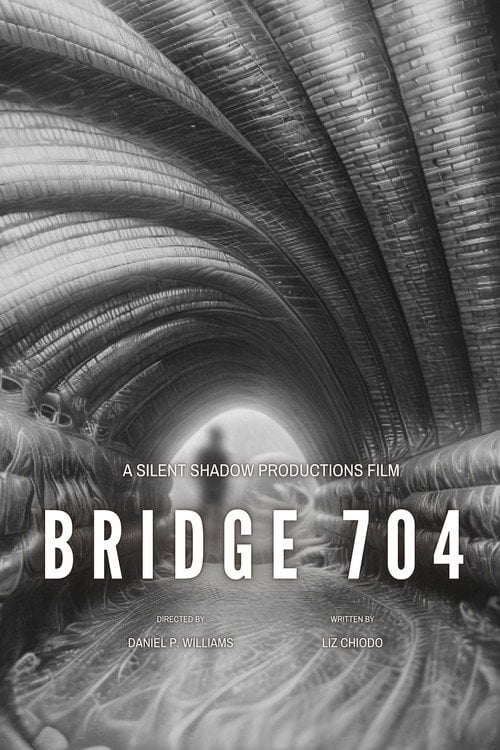 Watch Bridge 704 2026 online