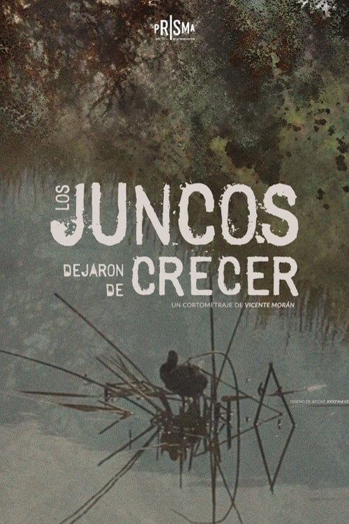 Дивитися фільм Los Juncos Dejaron de Crecer 2026 онлайн