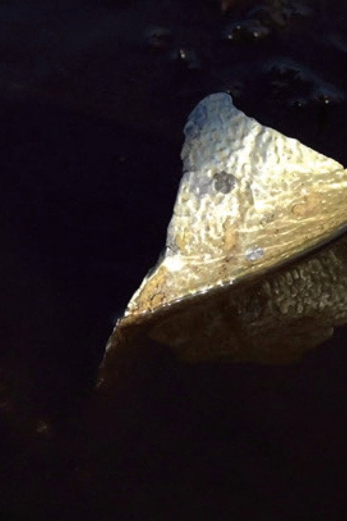 Watch Gold leaf 2026 online