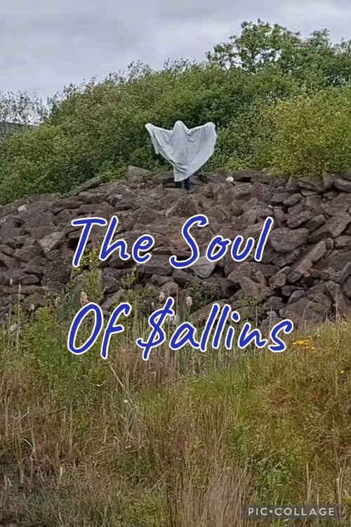 Watch The Soul Of Sallins 2026 online