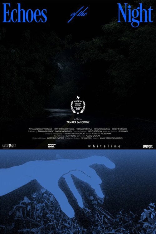 Дивитися фільм Echoes of the Night 2026 онлайн