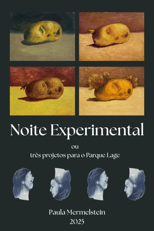 Watch Noite Experimental 2026 online