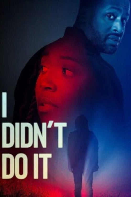 Watch I Didn't Do It 2026 online