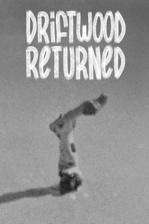 Watch Driftwood Returned 2026 online