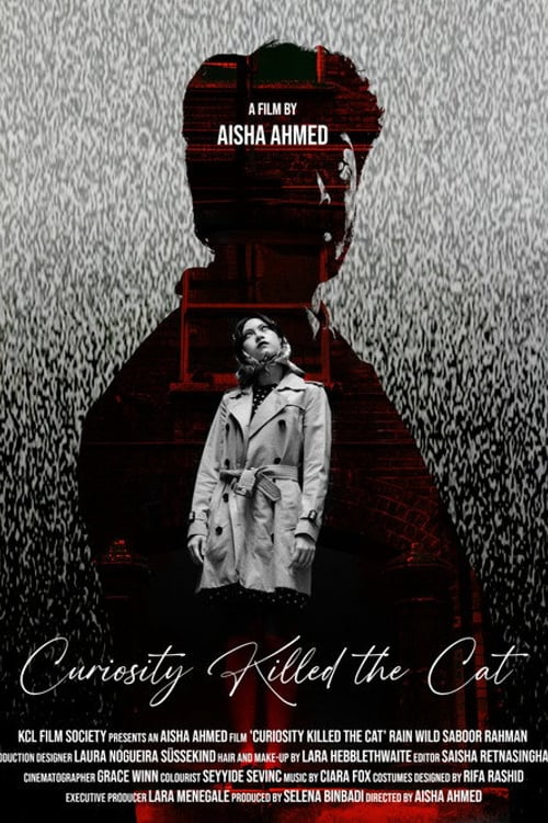 Дивитися фільм Curiosity Killed the Cat 2026 онлайн