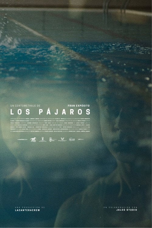 Watch Los pájaros 2026 online