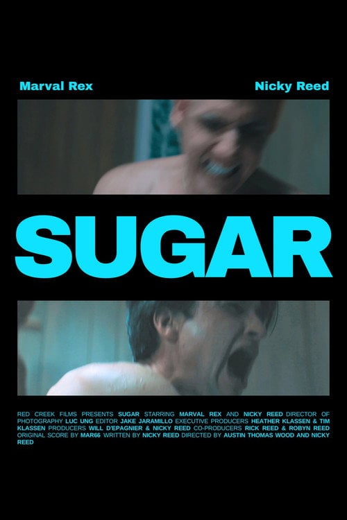 Watch Sugar 2026 online