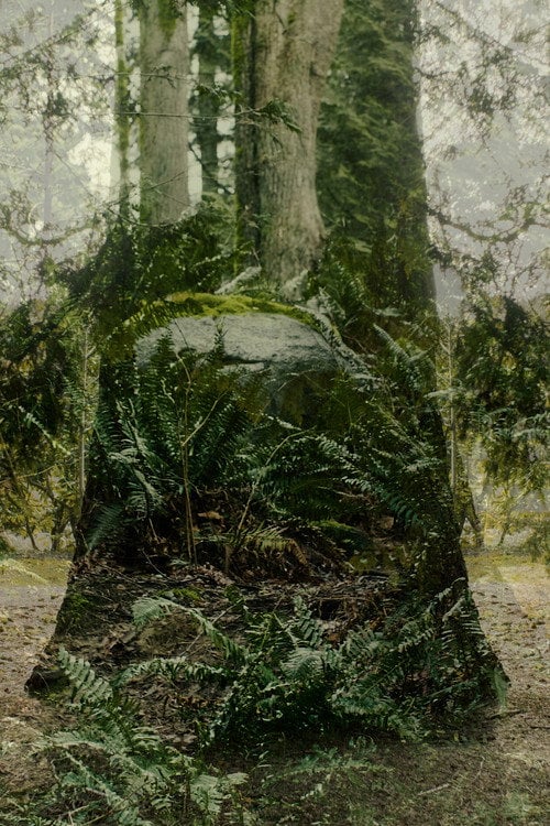 Watch Vertical Remains 2026 online