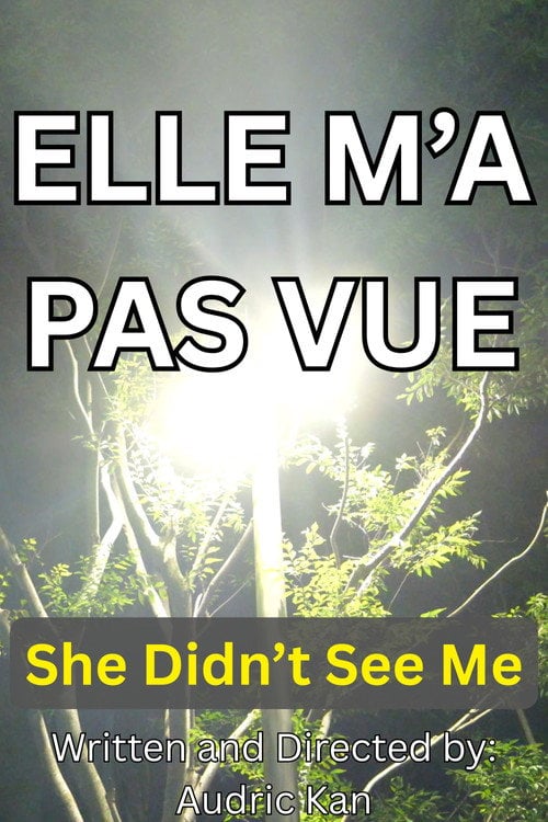Дивитися фільм Elle M'a Pas Vue 2026 онлайн