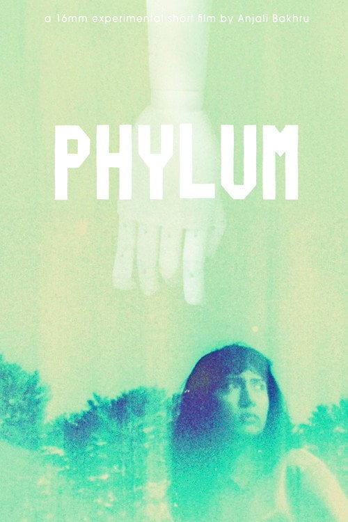 Watch Phylum 2026 online