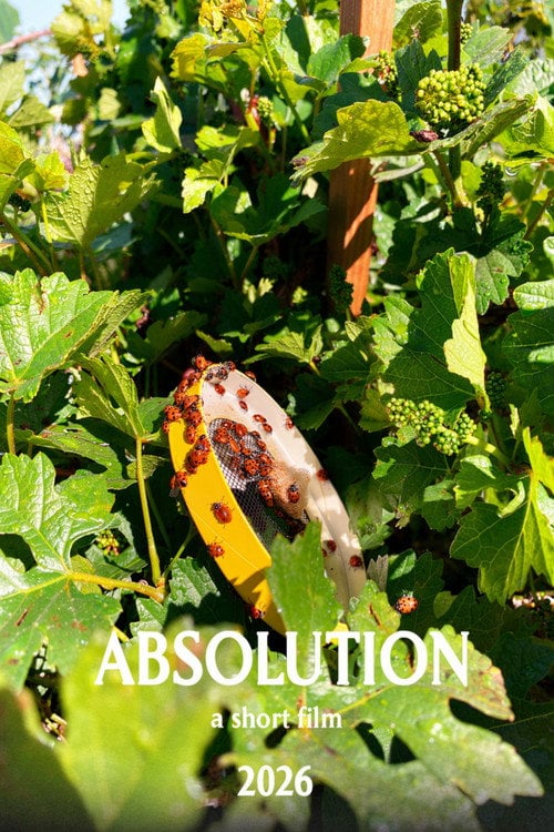 Watch Absolution 2026 online