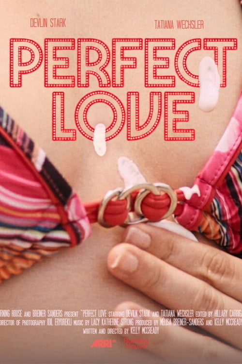 Watch Perfect Love 2026 online
