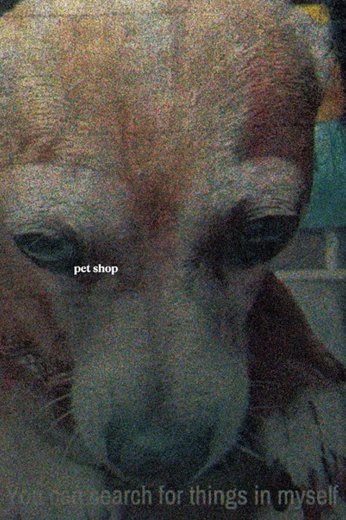 Дивитися фільм Tienda de perros 2026 онлайн