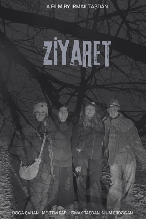 Watch Ziyaret 2026 online