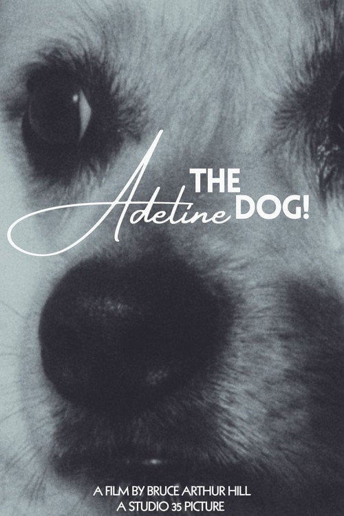 Дивитися фільм Adeline The Dog! 2026 онлайн