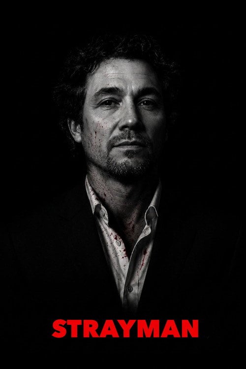 Watch Strayman 2011 online
