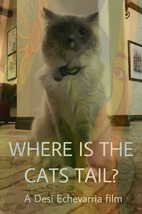Дивитися фільм Where Is The Cat's Tail? 2026 онлайн