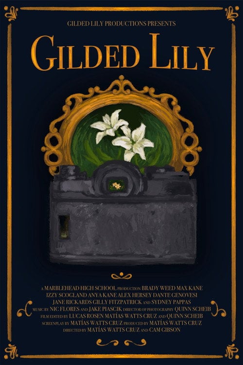Дивитися фільм Gilded Lily 2026 онлайн