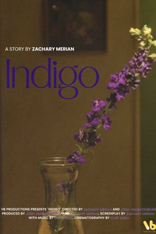 Watch INDIGO 2026 online