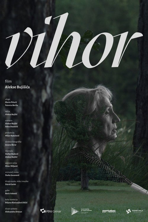 Watch Vihor 2026 online