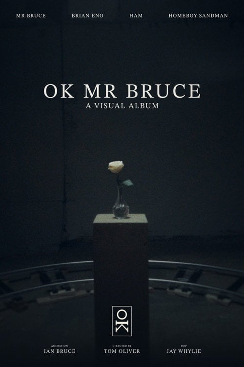 Watch OK MR BRUCE 2026 online