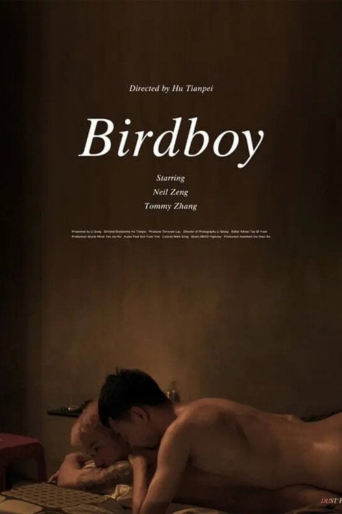 Watch Birdboy 2026 online