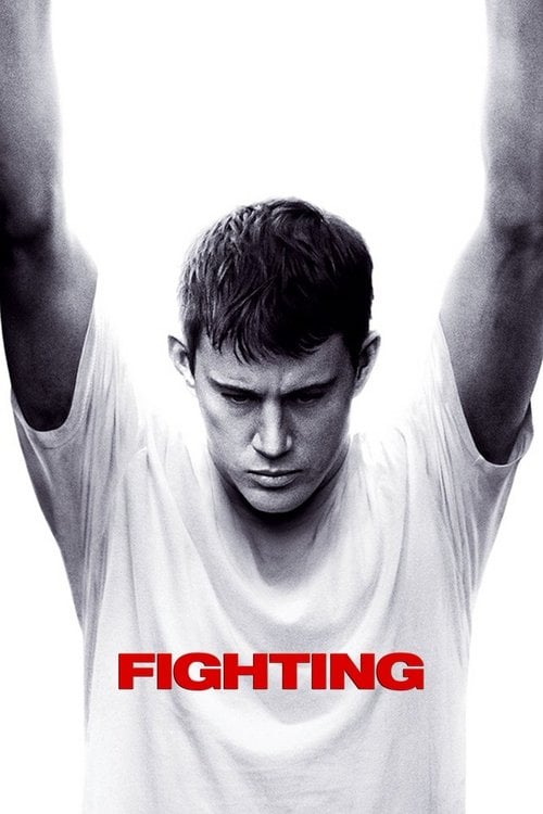 Watch Fighting 2009 online