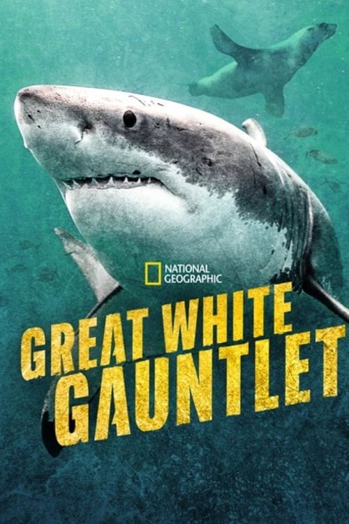 Дивитися фільм Great White Gauntlet 2026 онлайн