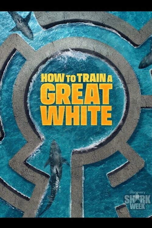 Дивитися фільм How to Train a Great White 2026 онлайн