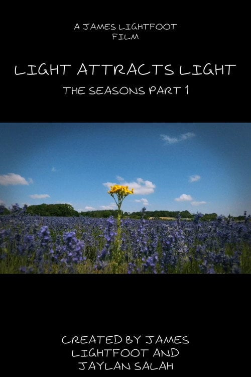 Watch Light Attracts Light 2026 online