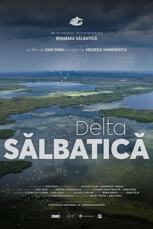 Watch Delta Sălbatică 2026 online