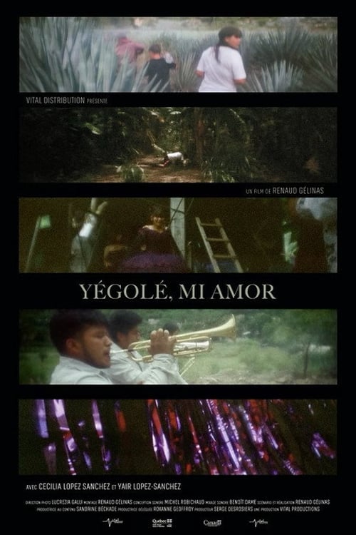 Watch Yégolé, mi amor 2026 online