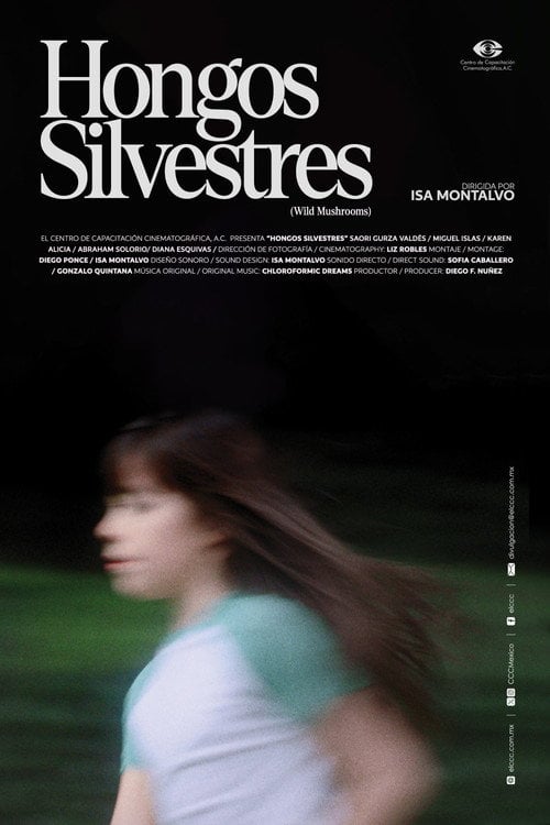 Дивитися фільм Hongos Silvestres 2026 онлайн
