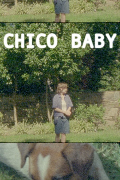 Дивитися фільм Chico Baby 2026 онлайн